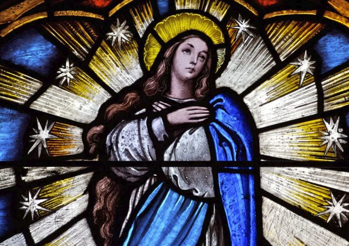 PORTADA-inmaculada-concepción-1