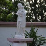 IMG_0379