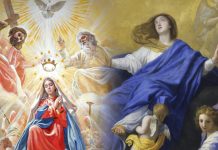 María: De su asunción a su coronación, un símbolo de la humildad fiel