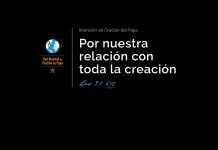 Video del Papa: “El mundo es un misterio que contemplar”