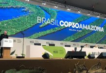 El Papa a la COP30: “Si quieres cultivar la paz, cuida la creación”